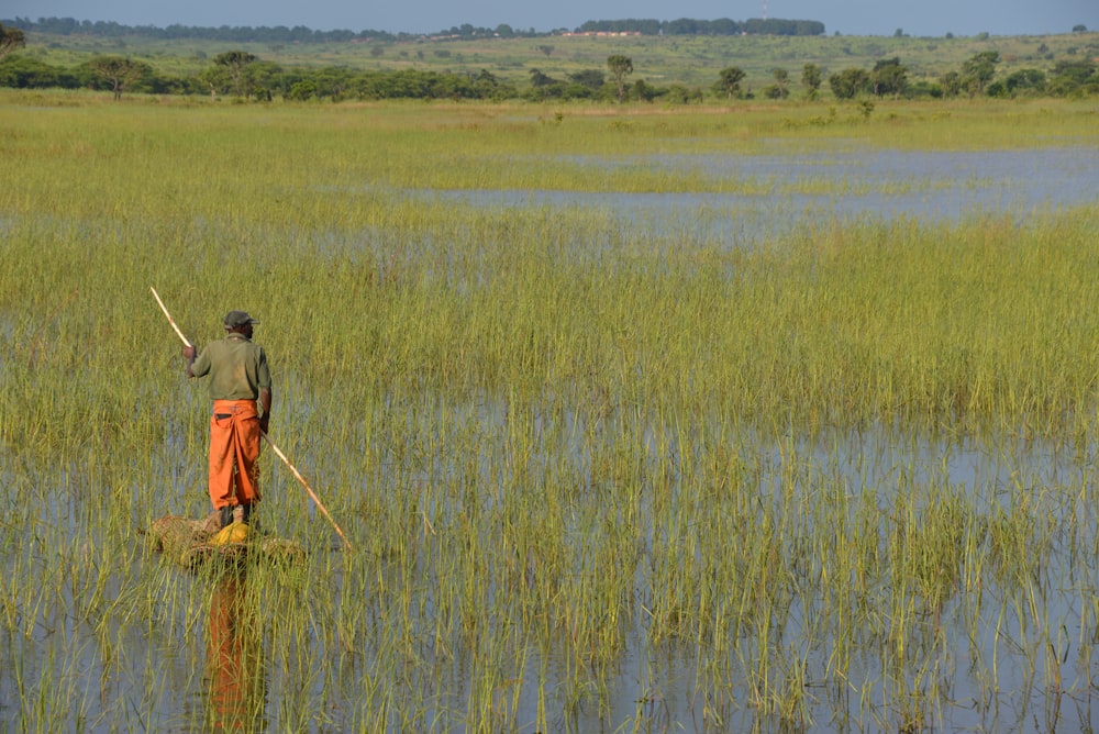 homem andando no campo de arroz através de árvores verdes