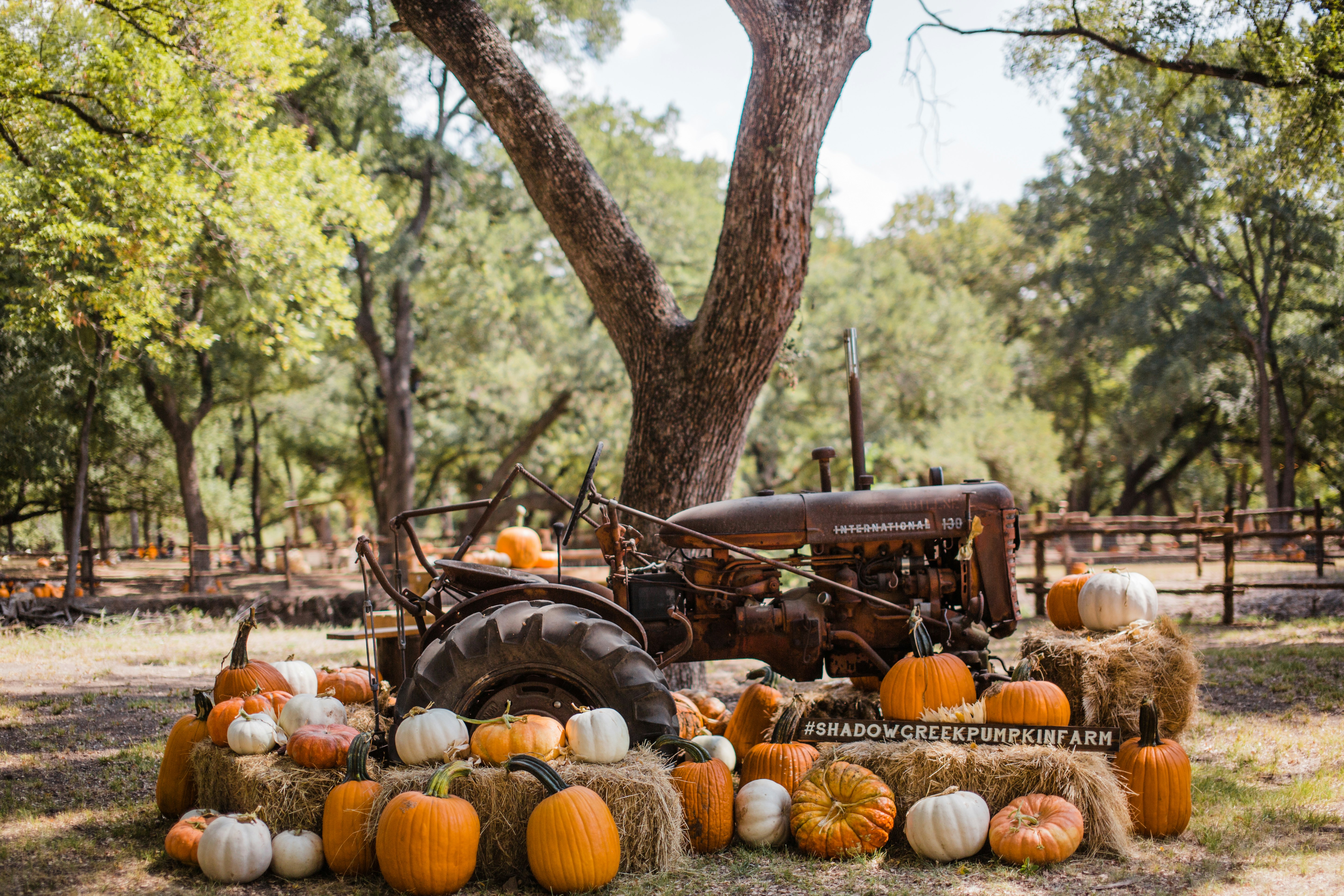 brown tractor surrounded with pumpkins