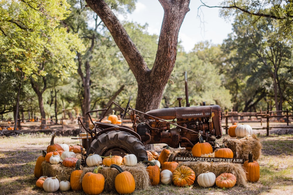 brown tractor surrounded with pumpkins