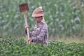 A person wearing a hat and a patterned long-sleeve shirt stands in a lush green field, holding a large gardening tool. The background is filled with blurred greenery, suggesting a rural or agricultural setting.