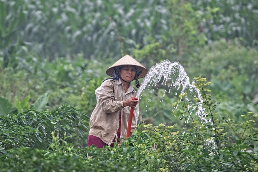 昼間に植物に水をやる女性