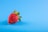 A bright red strawberry with a green leafy top is situated against a solid blue background. The strawberry is positioned slightly off-center to the left, with its seeds and surface texture clearly visible.