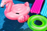 pink inflatable flamingo and green inflatable ring