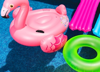 pink inflatable flamingo and green inflatable ring