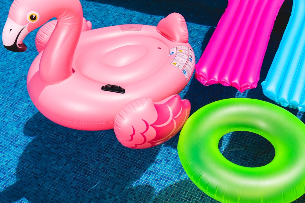 pink inflatable flamingo and green inflatable ring