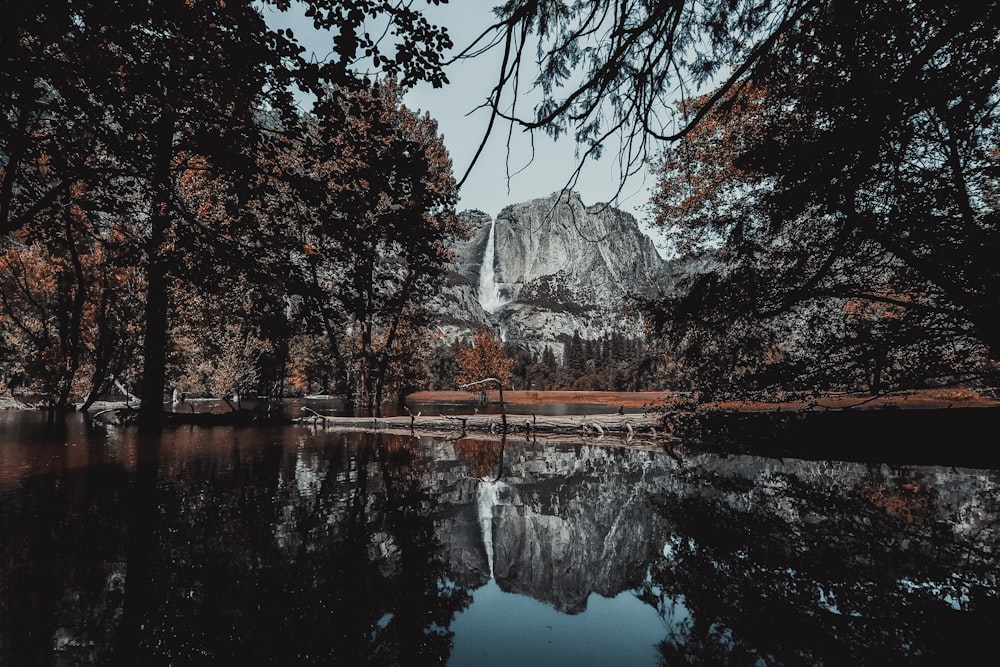 Yosemite National Park