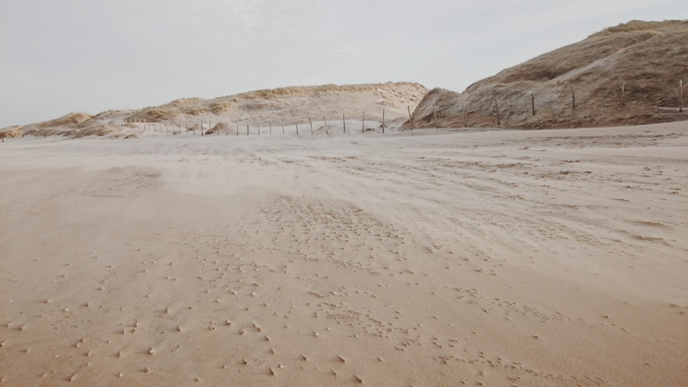 photo of desert dune