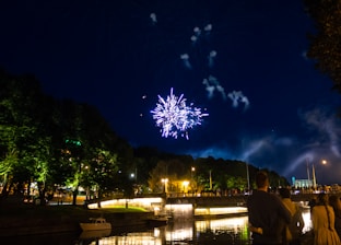 A vibrant display of fireworks explodes in the night sky above a lively crowd gathered near a waterfront. The bright lights from the fireworks illuminate the scene, reflecting off the water below. Trees and various street lights add a colorful backdrop to the event, creating a festive and celebratory atmosphere.