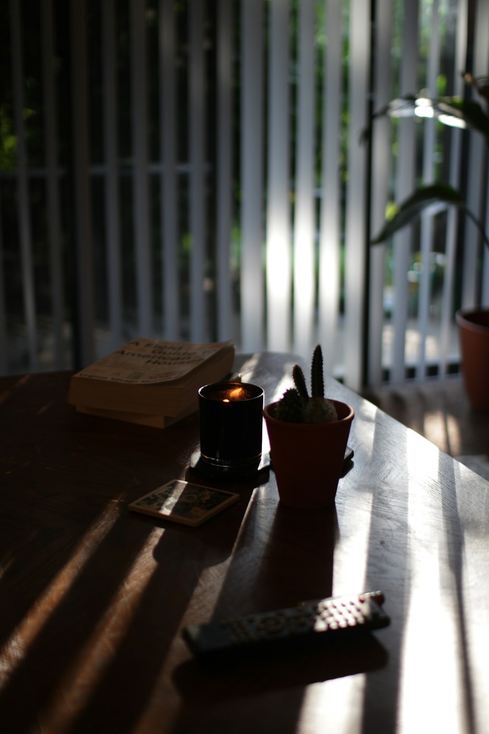 black votive candle on wood surface near cactus plant and book