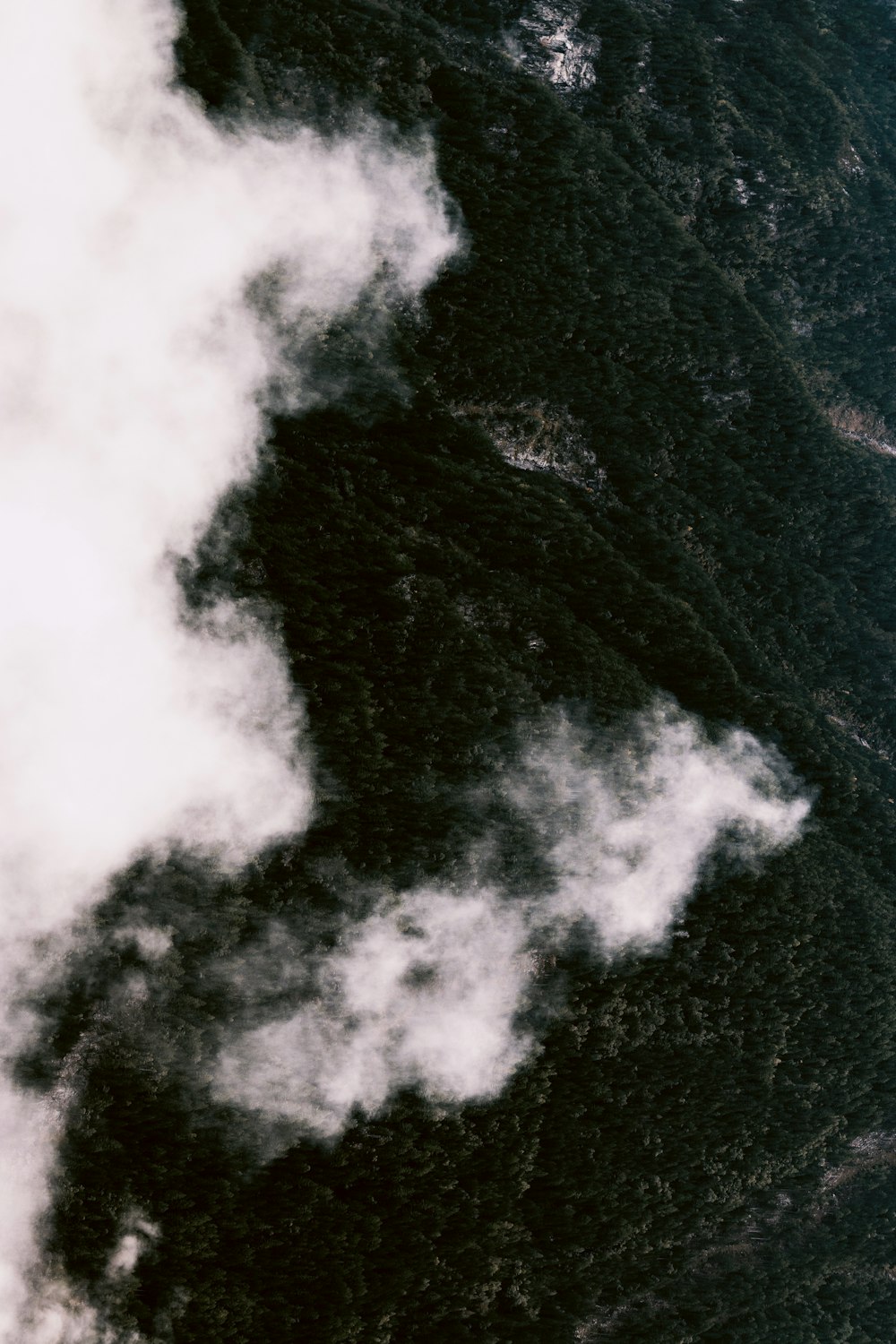 Foto a volo d'uccello di nuvole e alberi durante il giorno