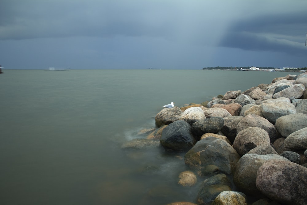 brown and gray rocks on sea shore during daytime