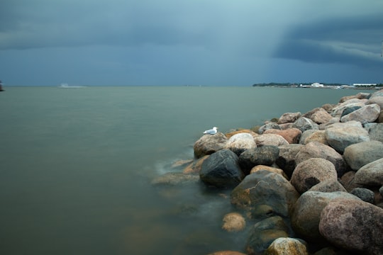 brown and gray rocks on sea shore during daytime in Helsinki Finland