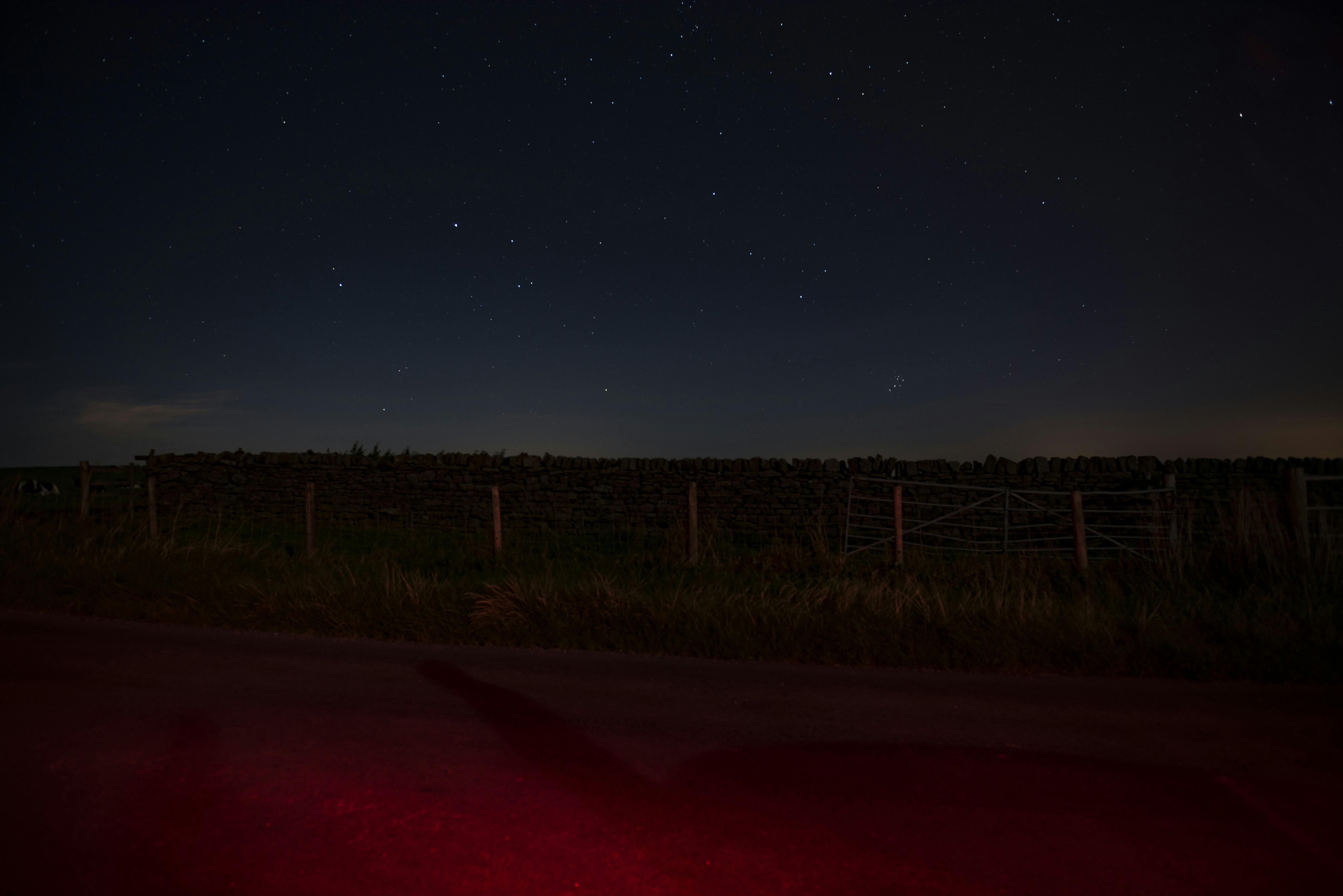 Photo by joannakosinska