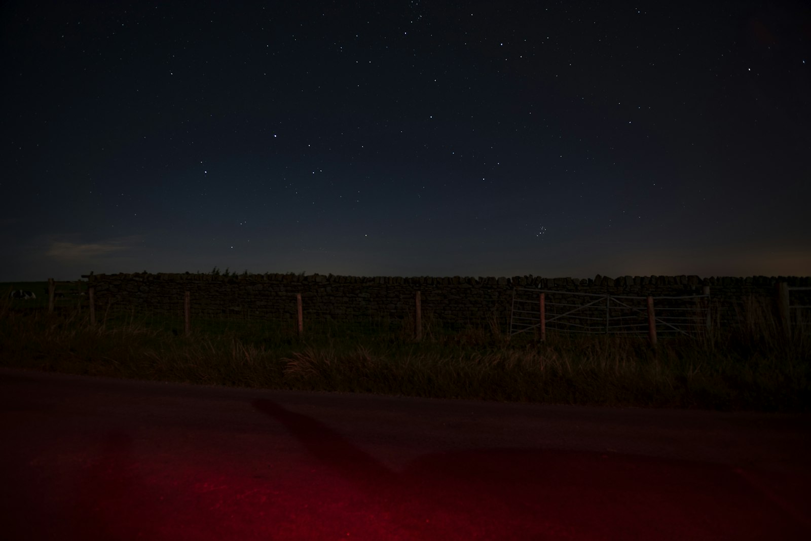 Nikon D750 sample photo. Grass field in the photography