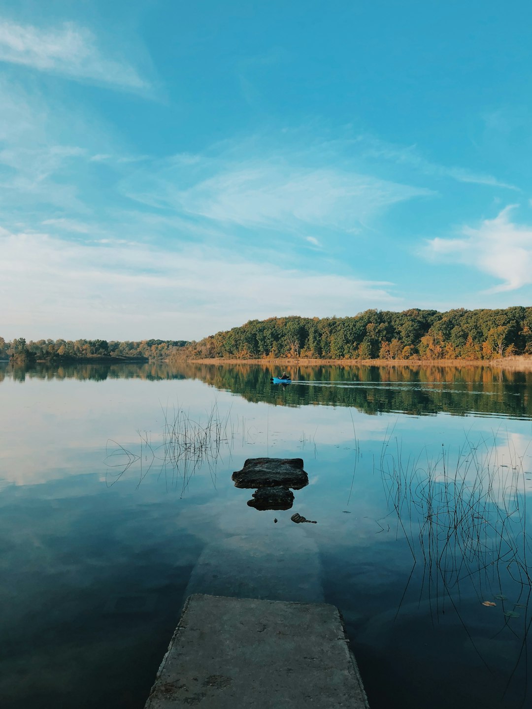 lake and trees