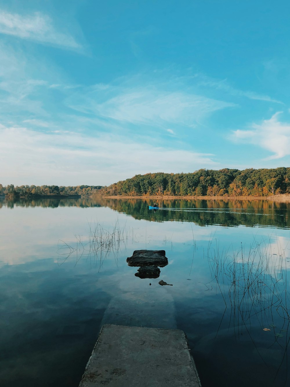 lake and trees