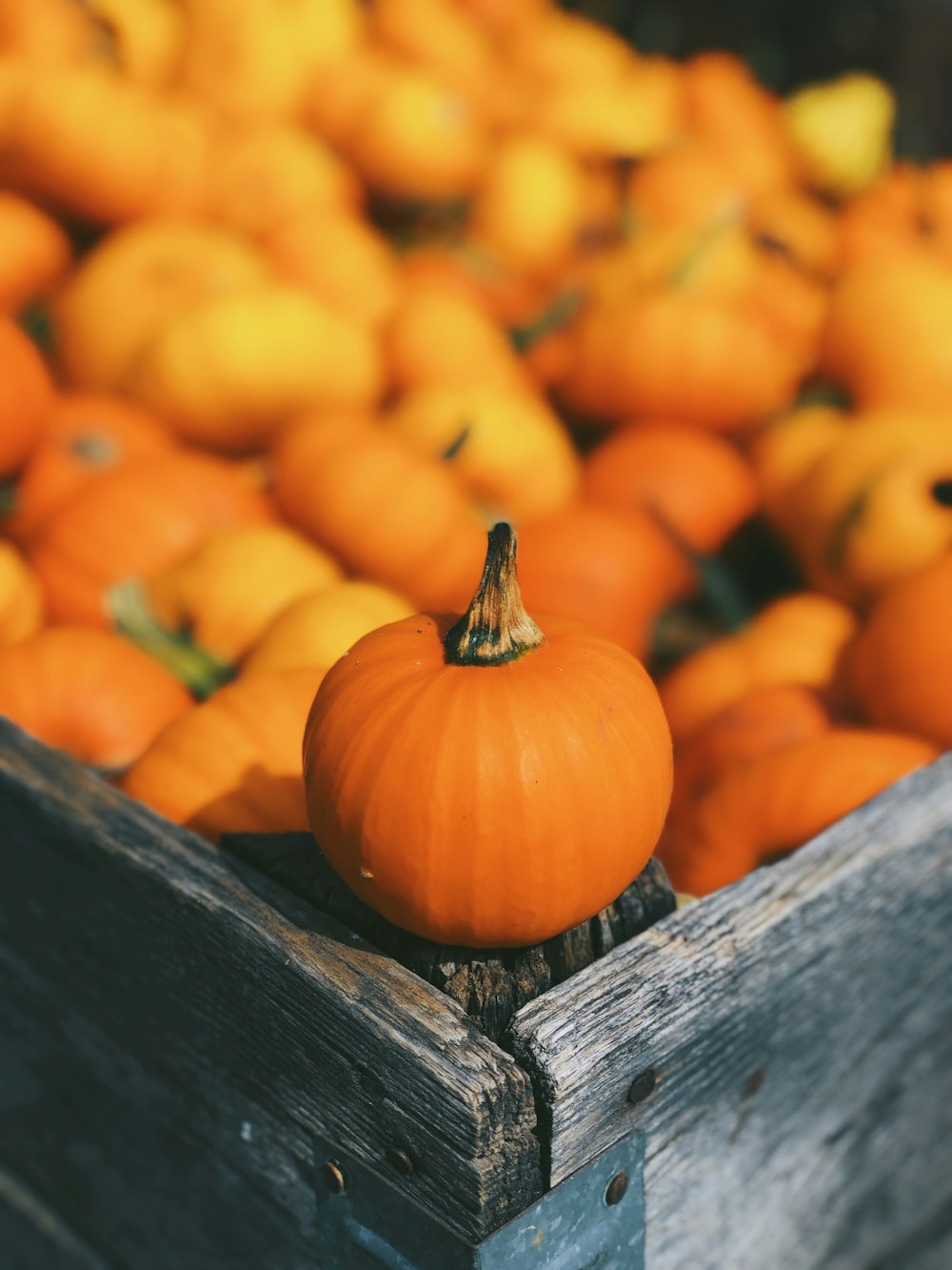 pumpkin on brown box