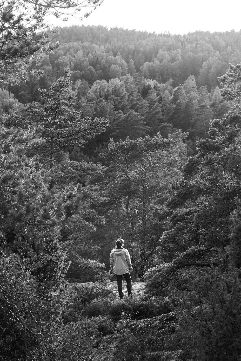 grayscale photo of man in black jacket and pants walking on pathway surrounded by trees