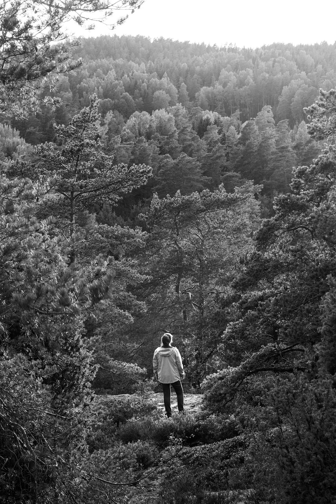 travelers stories about Forest in Piikkiö, Finland