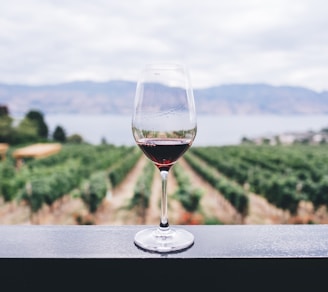 clear wine glass overlooking orchard during daytime