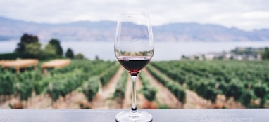 rode wijn bij wijngaard-zuivere wijn