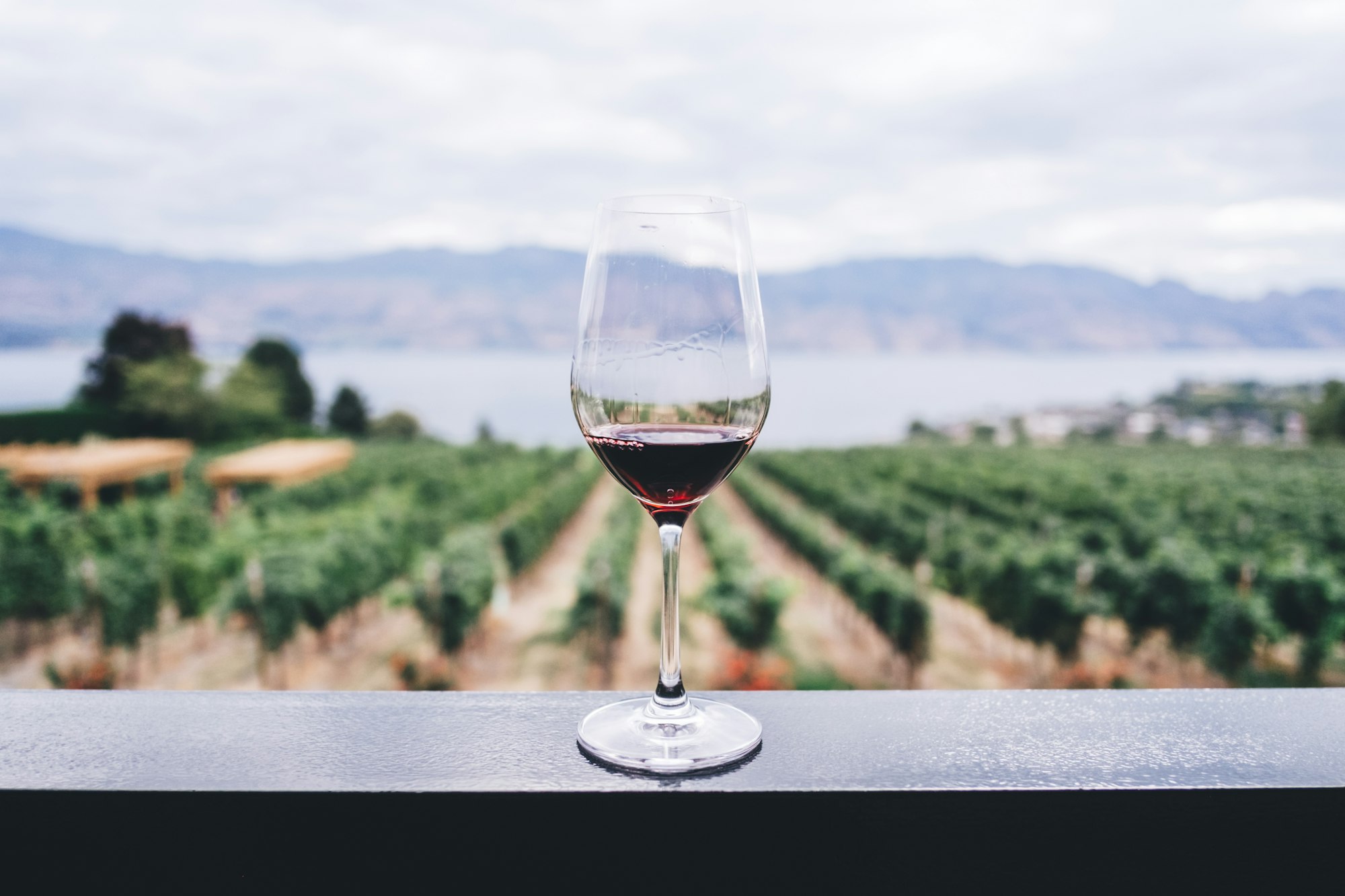 Glass of red wine on ledge overlooking vineyard