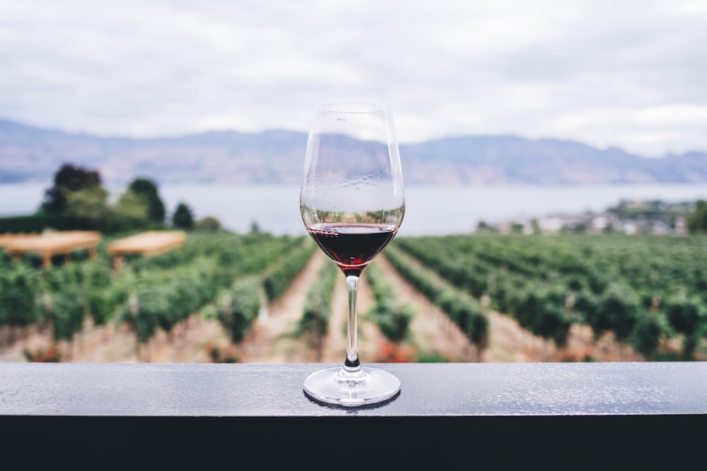copo de vinho transparente com vista para o pomar durante o dia