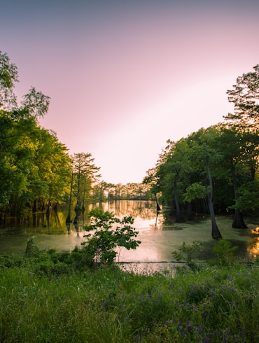 - Part of a 30 days streak of Unsplash uploads - Get lost in the Bayou they said. It’ll be fun they said.Jp Valery is one of the best photographers in Montréal, QC. He’s a self-taught photographer passionate by his craft. He’s available for hire - no projects are too big or too small - and can be contacted at contact@jpvalery.photo. Don’t hesitate to contact Jp Valery if you’re looking for a talented photographer in Montreal, Quebec with great photography services.