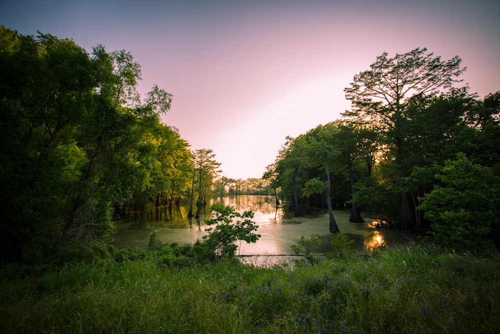 a lake surrounded by lush green trees under a purple sky