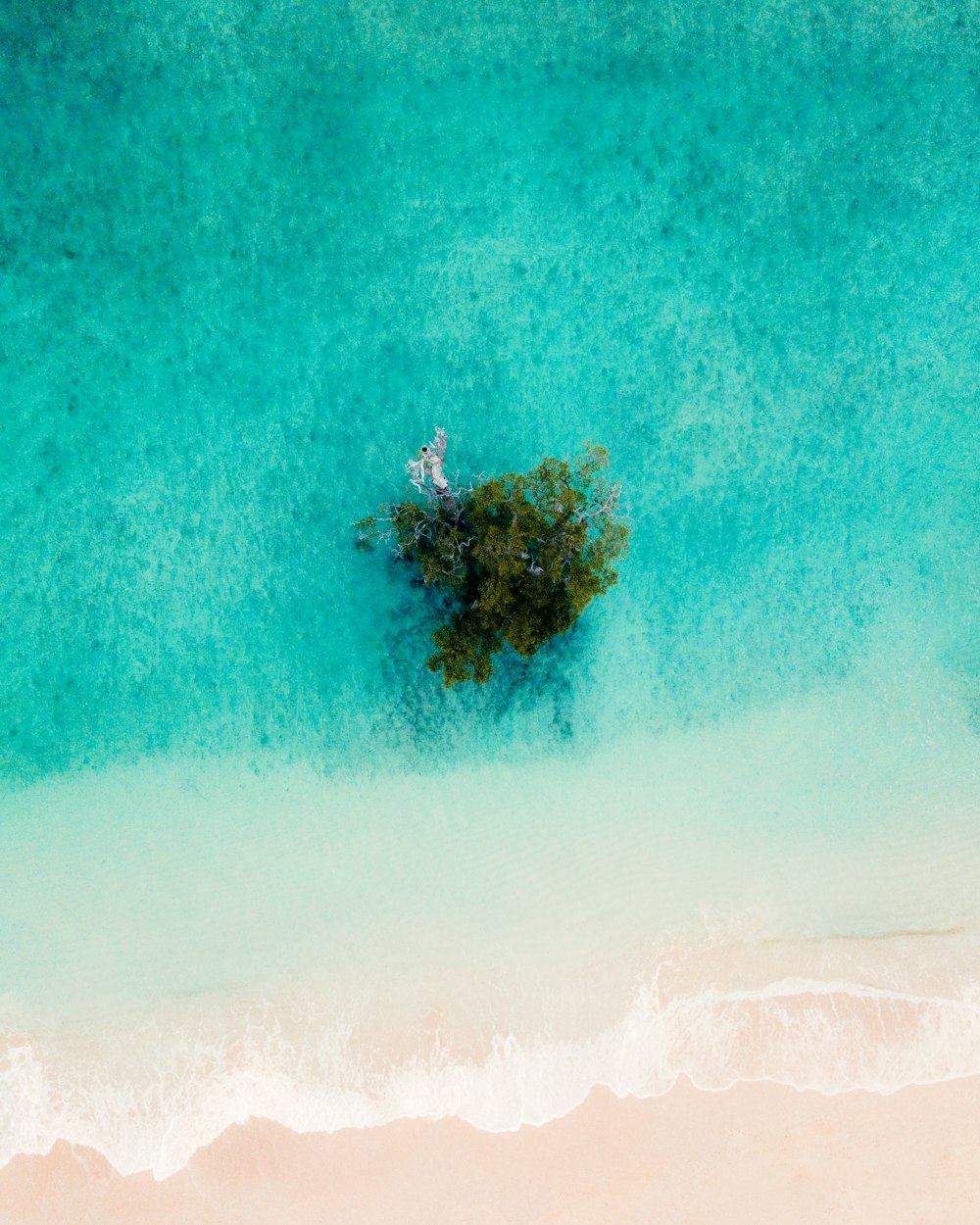 Photographie à vol d’oiseau de l’île à côté du plan d’eau