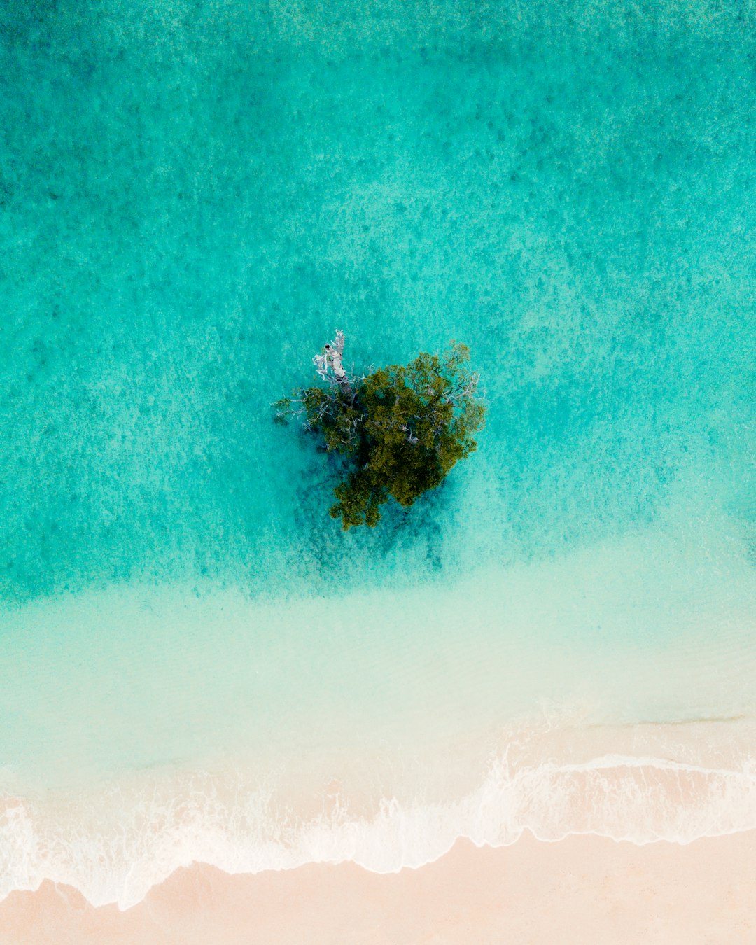 bird eye photography of island beside body of water