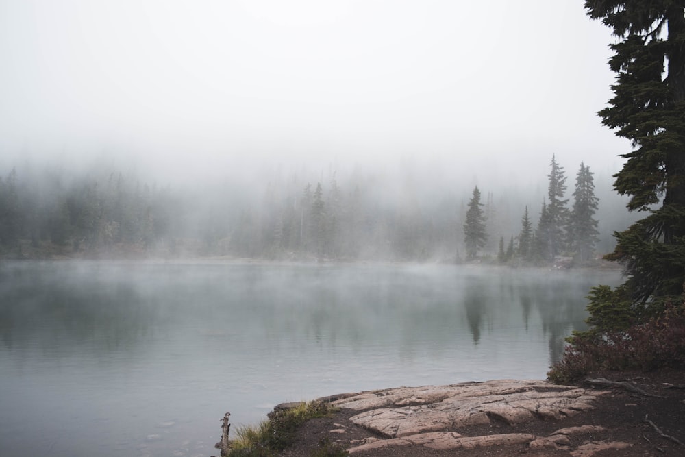 Lago tranquilo con niebla durante el día