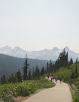 A group of hikers walks along a winding trail through a lush green landscape with mountain peaks in the background. Pine trees and wildflowers line the path, creating a serene and picturesque scene.