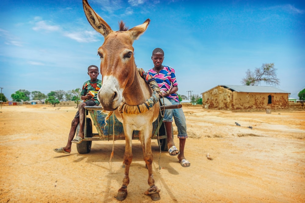 people riding on wagon with donkey