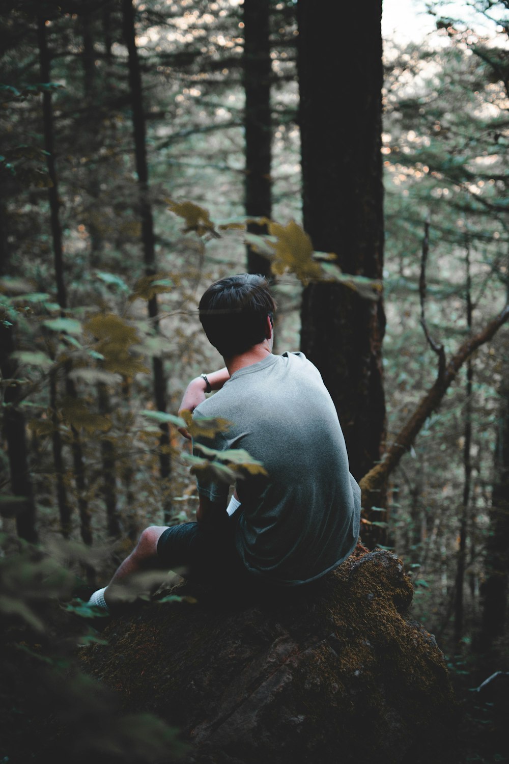 homme assis au sommet d’une forêt de collines