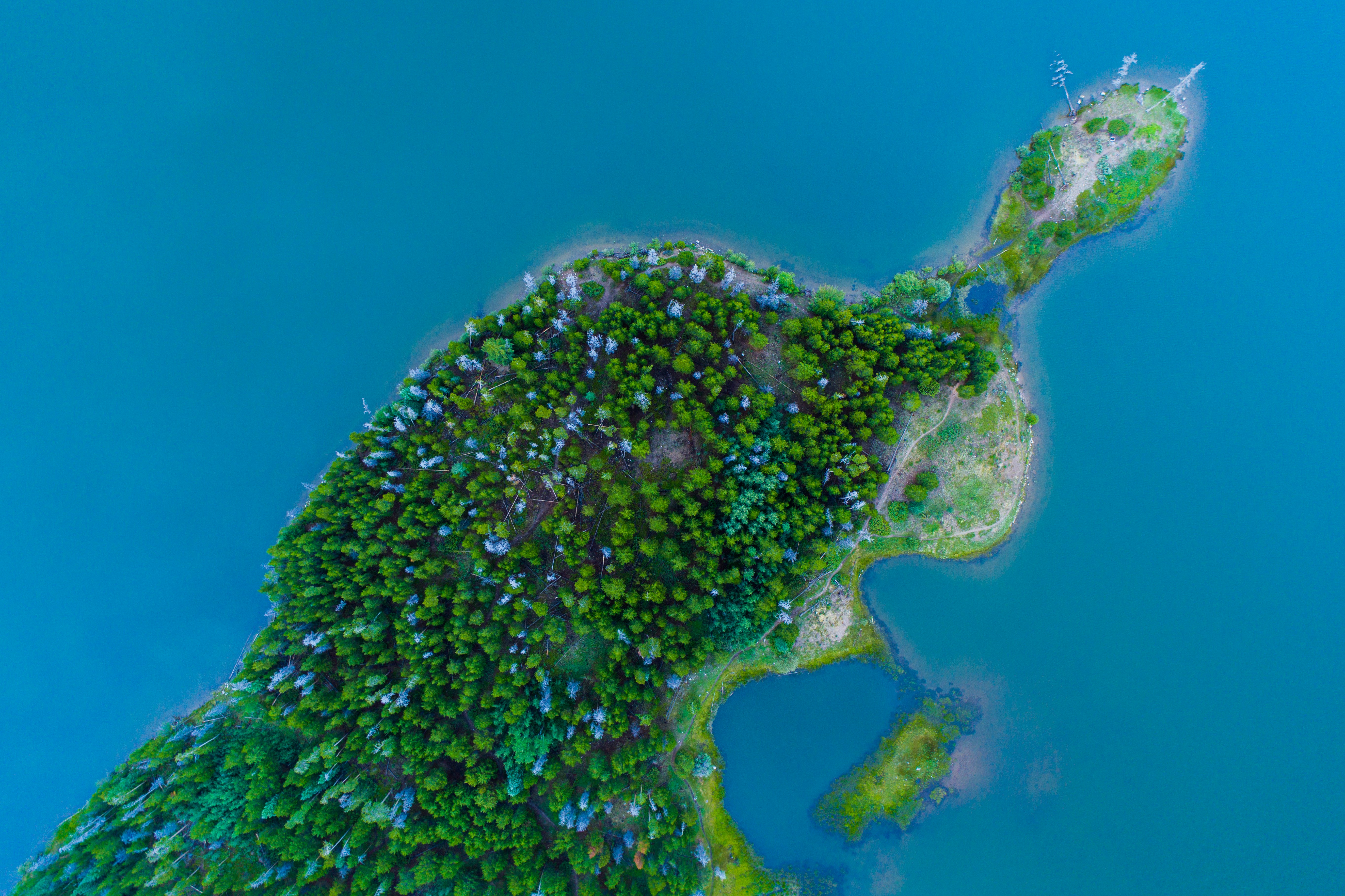 Photo by nathananderson