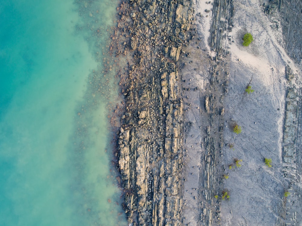 top view of shore during daytime