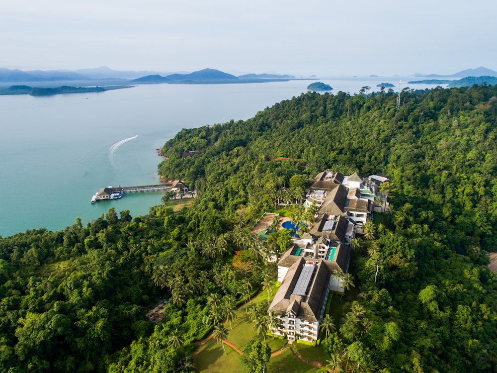 aerial photography of houses on island