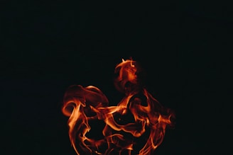photo of fire during dark