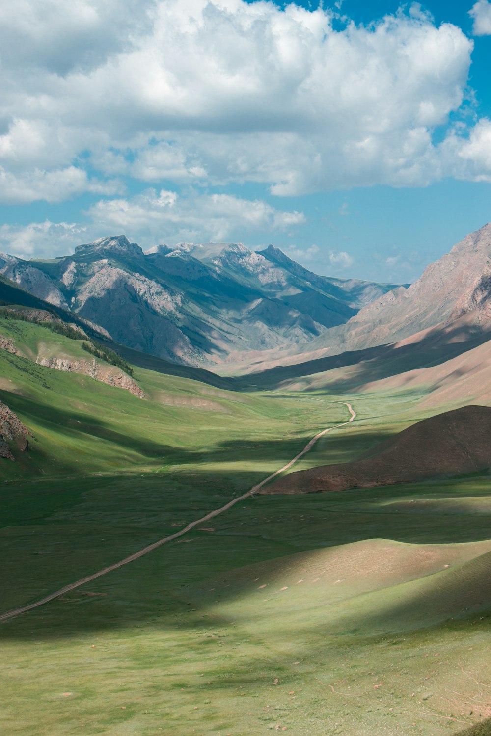 valle verde del campo dell'erba sotto le nuvole bianche durante il giorno