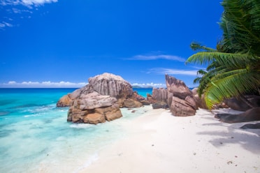 rock formation on seashore