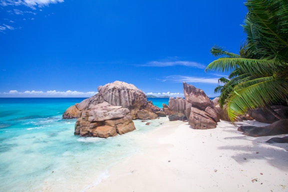 rock formation on seashore