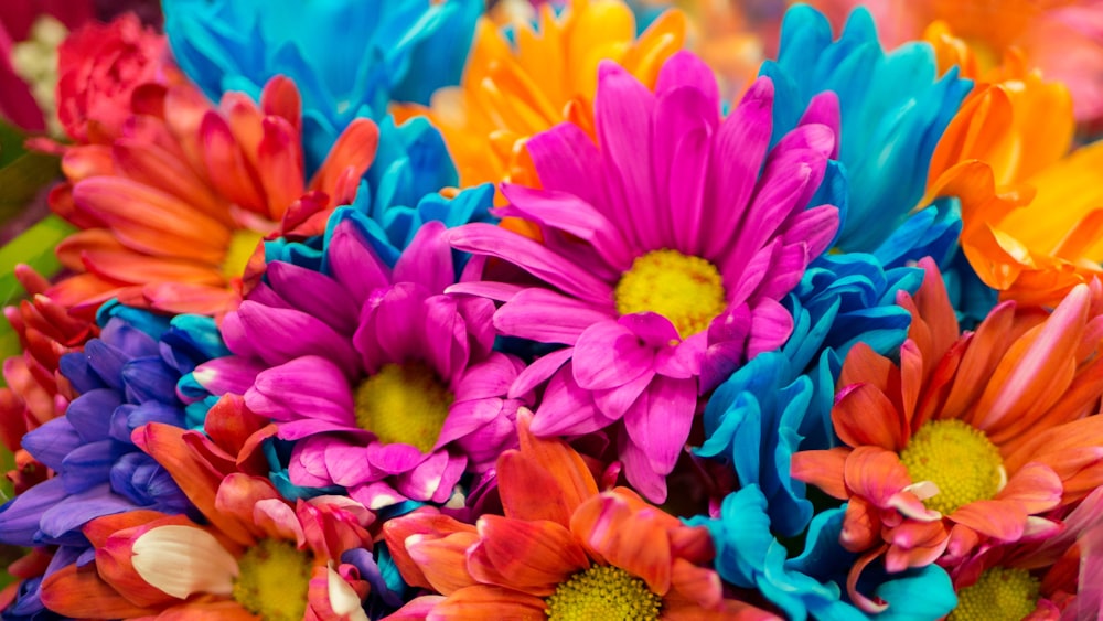 pink, orange, blue, and purple flowers