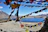 A serene mountain valley with colorful prayer flags fluttering in the breeze.