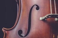 brown string instrument