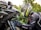 person wearing helmet while holding motorcycle