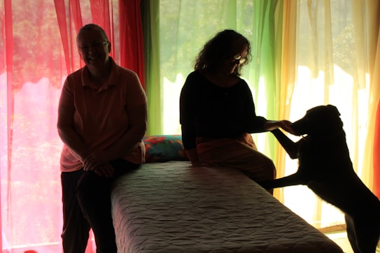 Two silhouetted figures are positioned near sheer, colorful curtains that filter in soft light. One person is sitting on a bed, gently reaching out to a dog that is standing on its hind legs. The other figure appears relaxed and is seated with hands folded on their lap.