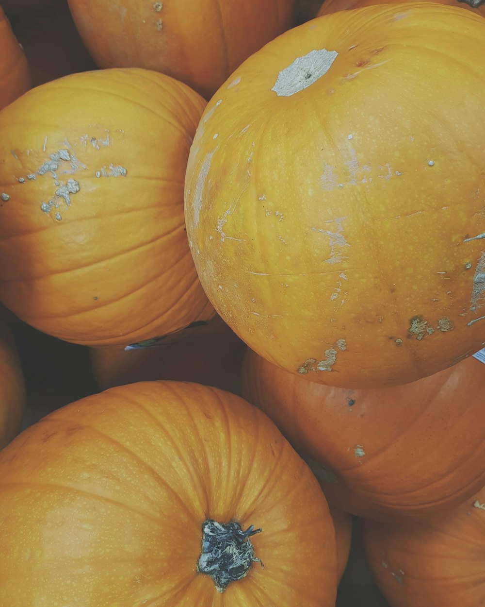 bunch of orange pumpkins