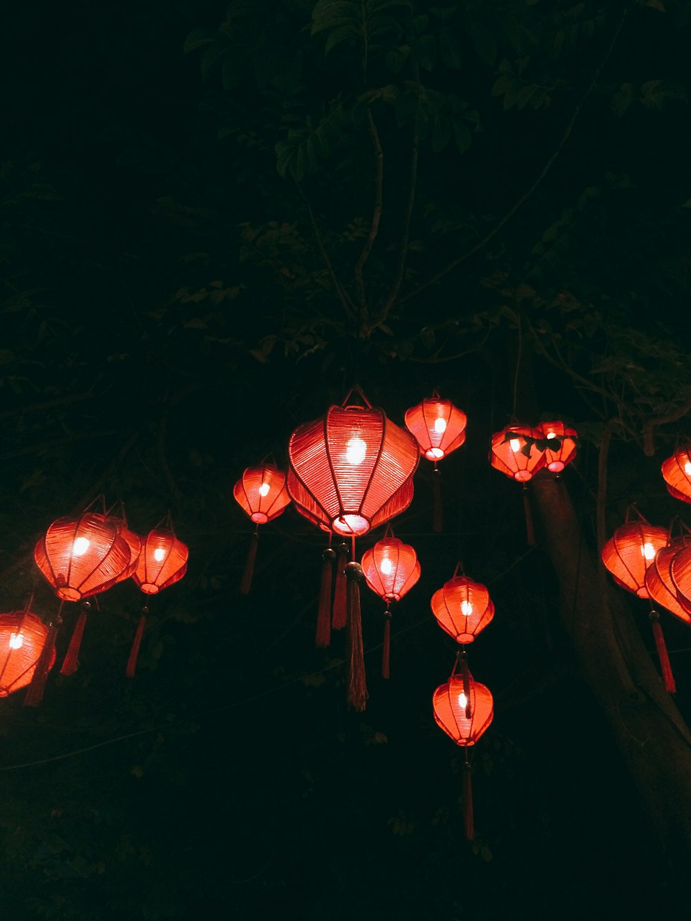 red paper lanterns on green trees