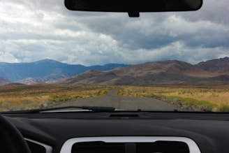 A family enjoying a road trip in a car, smiling and looking out at a beautiful landscape.